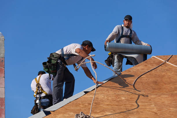 Best Roof Repair Specialists  in Twin Lakes, CO