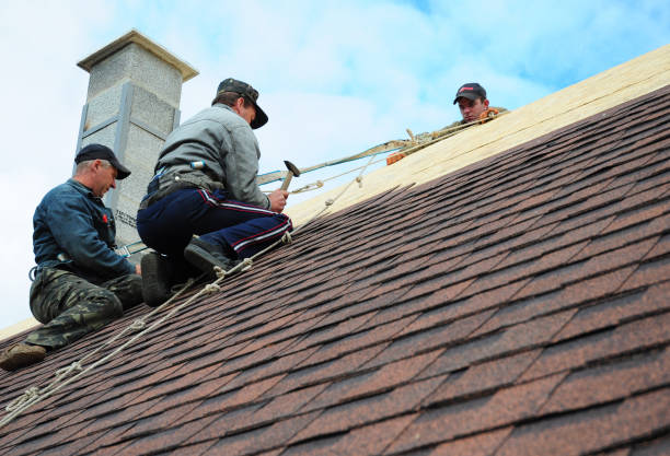 Best Metal Roofing Contractor  in Twin Lakes, CO