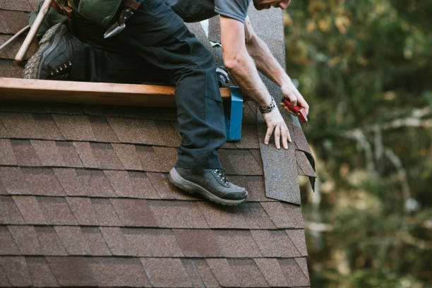 Professional Roofing Contractor in Twin Lakes, CO